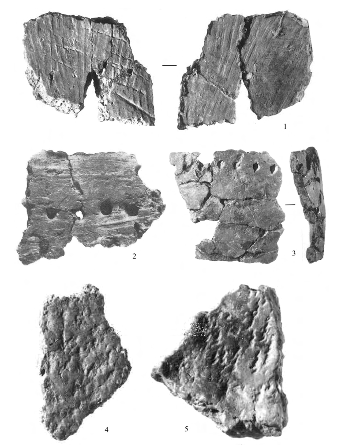 2-5