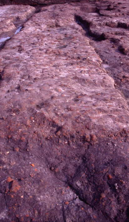 image-15-1