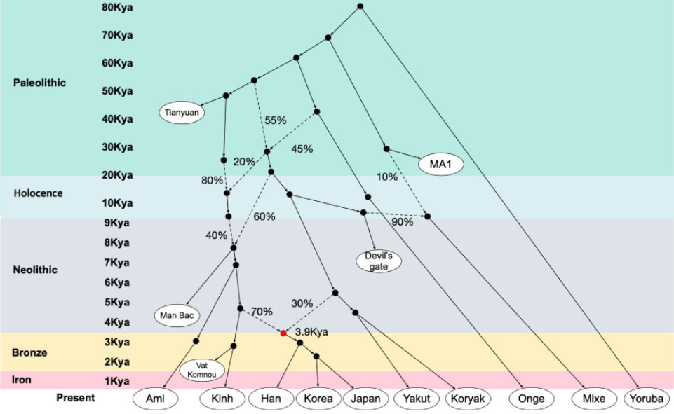 image-53-1