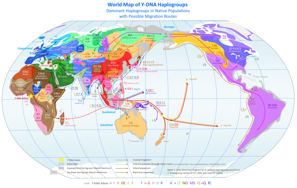 world_map_of_y-dna_haplogroups