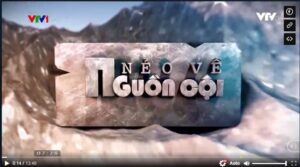 Nẻo về nguồn cội